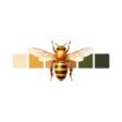 the beeswax bee (500 x 500 px)