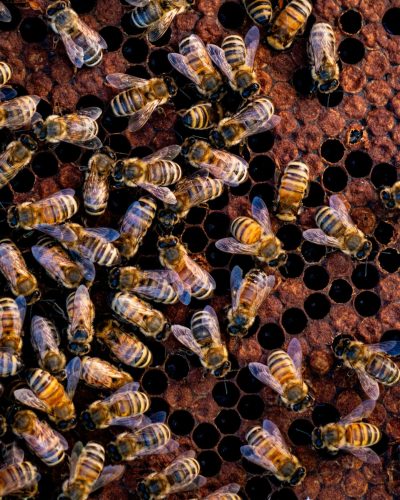 alvin david wxlbmlxllvo unsplash