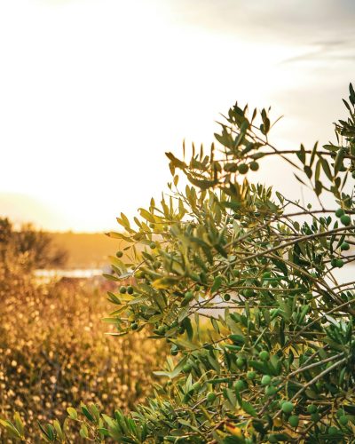 frank albrecht 7yugoccxtn8 unsplash