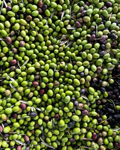 john cameron 9bc4oiy5pi4 unsplash