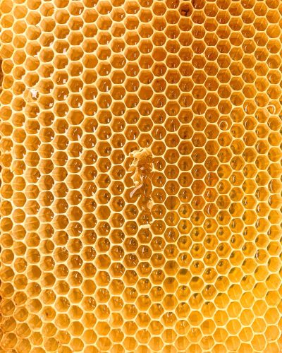 jonas hensel 3cpws7ibtfo unsplash