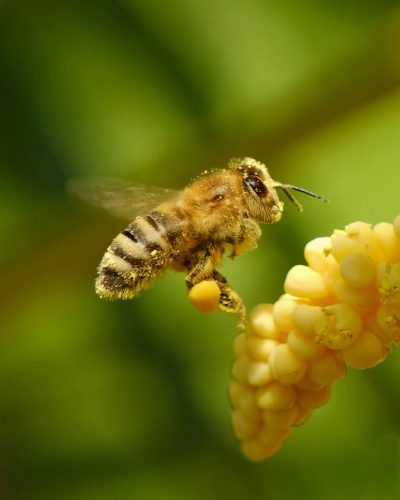 jozsef szabo xxdudrmtjhw unsplash