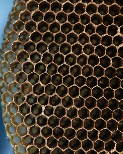 rajendra biswal 8 wakxgpxe0 unsplash