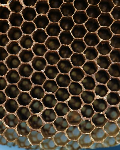 rajendra biswal 8 wakxgpxe0 unsplash