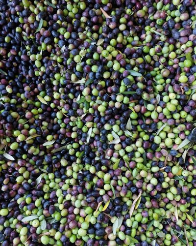 sam farallon yqusbhhbrri unsplash