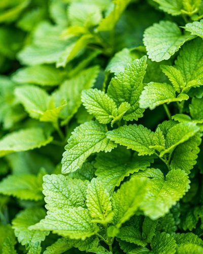 victor serban whtrv7kvgjy unsplash