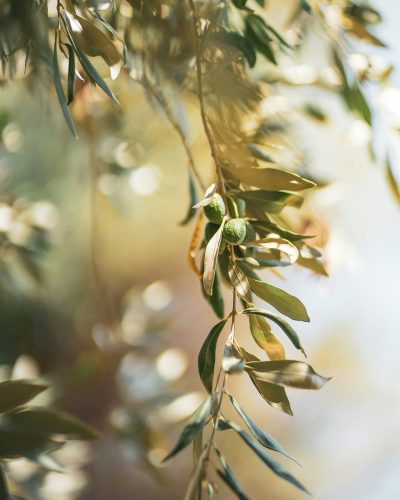 victoria todorova 0be7scbeupu unsplash