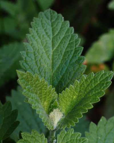 yuri antonenko xyqwmkuoriu unsplash